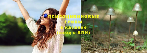 шишки Бугульма