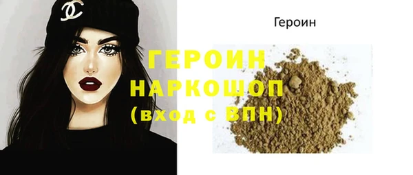 ешки Бородино