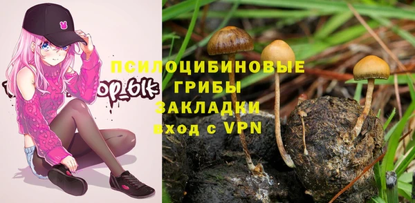 ешки Бородино