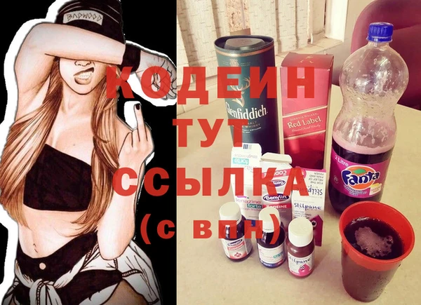 ешки Бородино