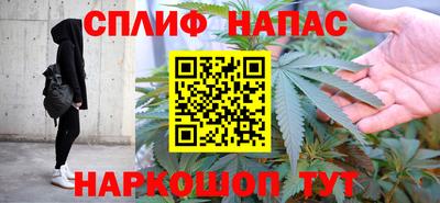 СК Краснодар