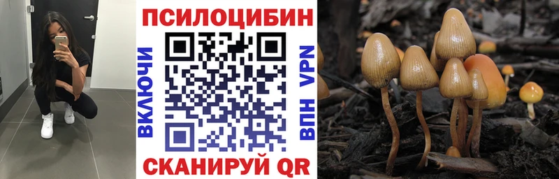 Галлюциногенные грибы мухоморы  что такое наркотик  Гулькевичи 