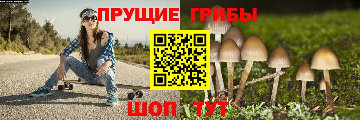 Галлюциногенные грибы Psilocybe Гулькевичи